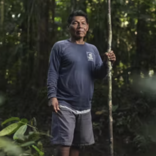 Apr 13 Guardians of the Forest: Virtual Screening and Panel Discussion