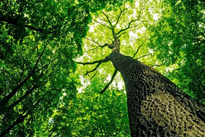 Environmental Justice Reading Group